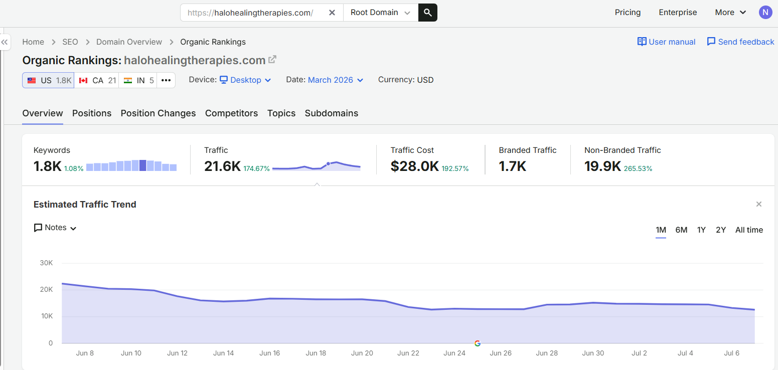 Google Analytics screenshot showing organic website traffic growth